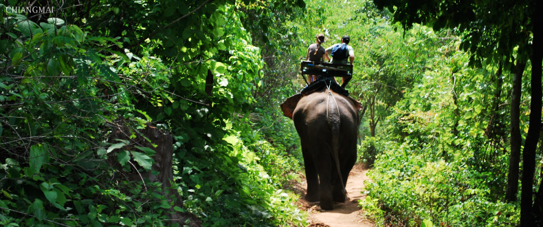 Chiang Mai, Thialand.